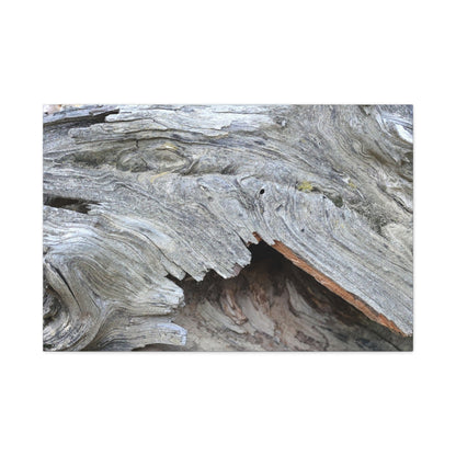 Whispers of Ancient Wood - Unique Frameless Canvas Wall Art - Art By Earth