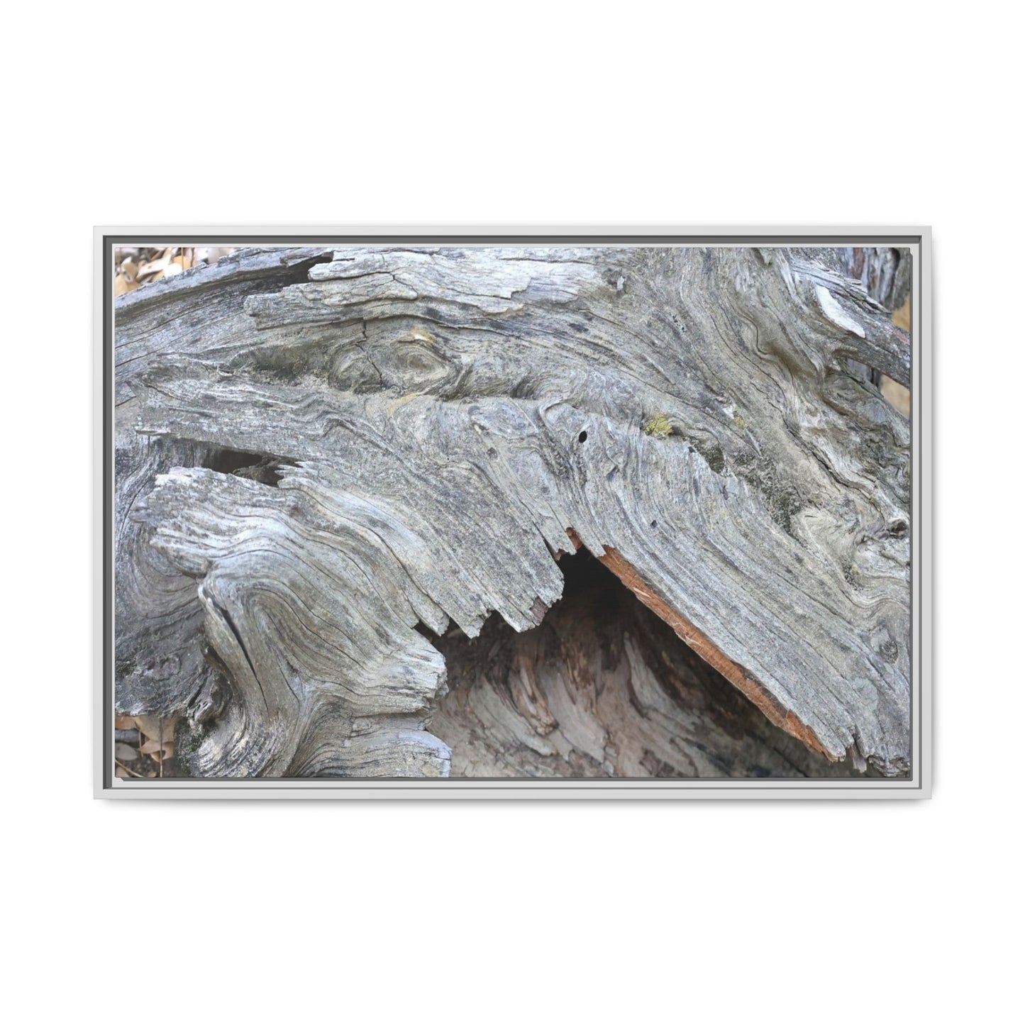 Driftwood Dreams - Unique Stretched Canvas Wall Art - Art By Earth