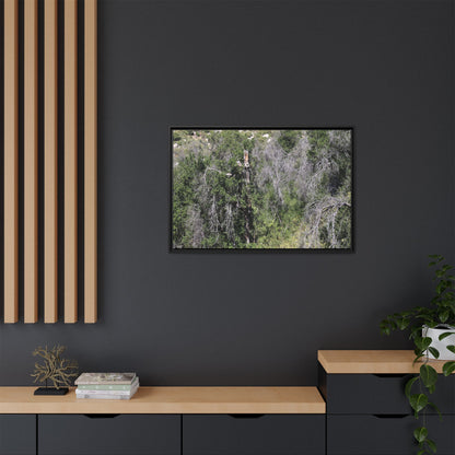 Forest Decline - Unique Stretched Canvas Wall Art