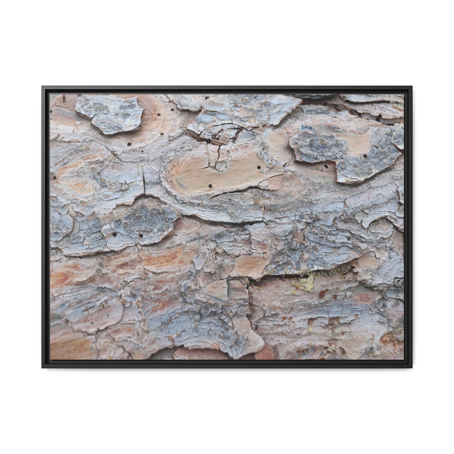 Peeling Memories - Unique Stretched Canvas Wall Art - Art By Earth