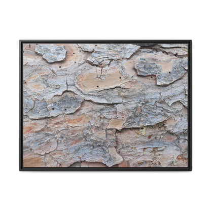 Peeling Memories - Unique Stretched Canvas Wall Art - Art By Earth