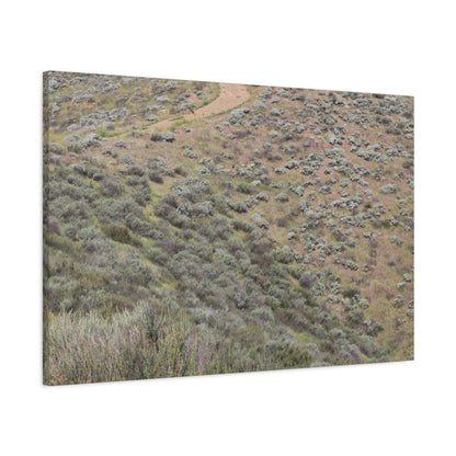 Desert Path Through Sagebrush - Unique Frameless Canvas Wall Art - Art By Earth