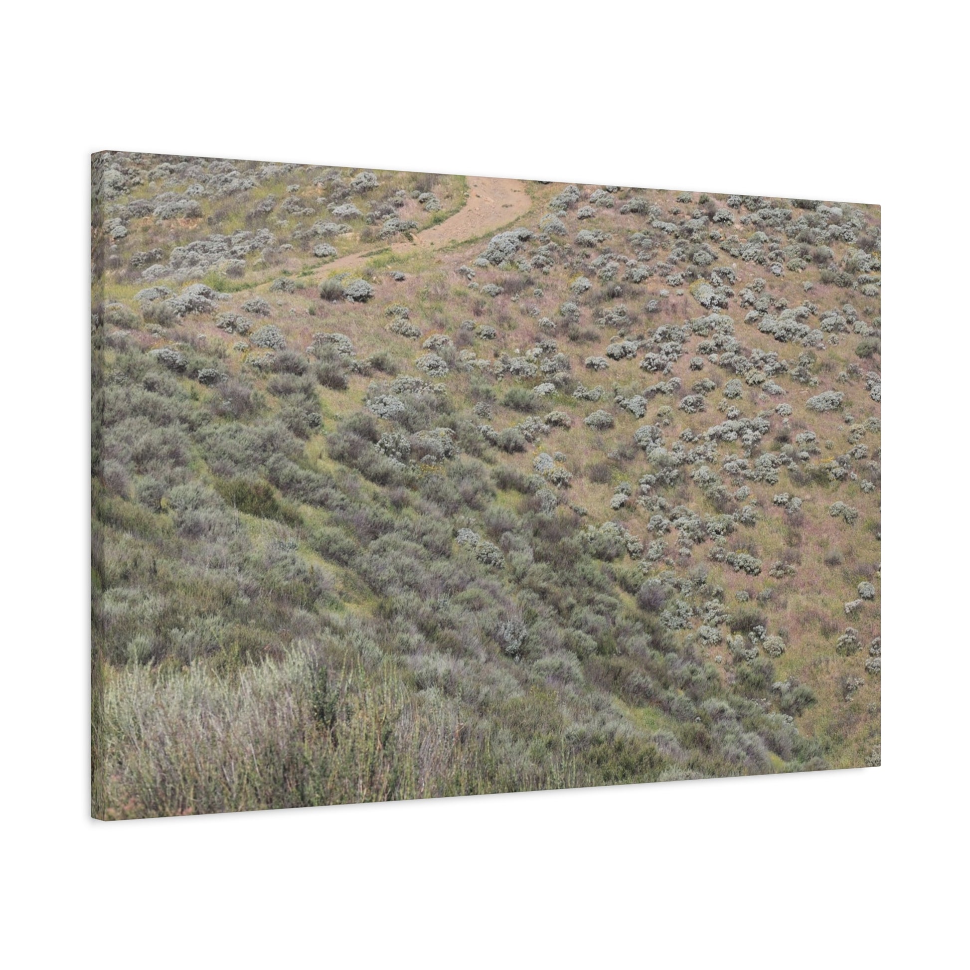 Desert Path Through Sagebrush - Unique Frameless Canvas Wall Art - Art By Earth