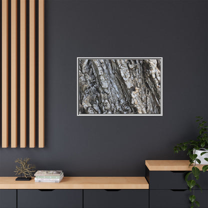 Twisted Textures - Unique Stretched Canvas Wall Art - Art By Earth