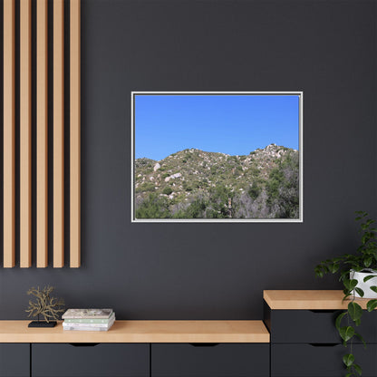 Sparse Vegetation - Unique Stretched Canvas Wall Art