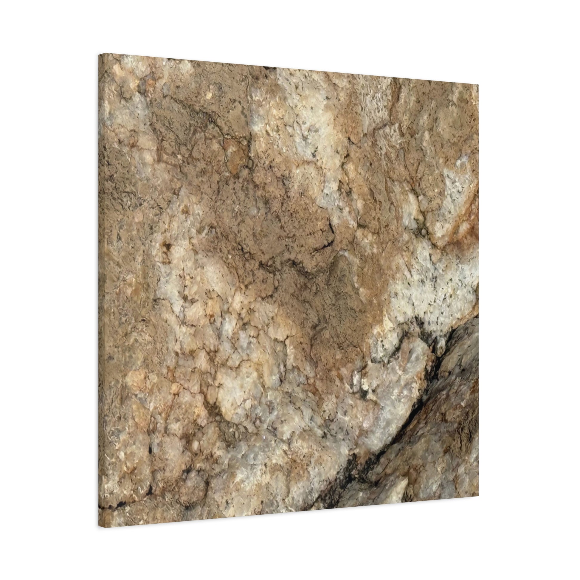 Desert Terrain - Unique Frameless Canvas Wall Art - Art By Earth