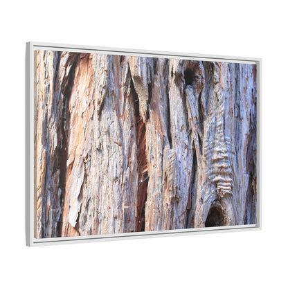 Nature's Grain - Unique Stretched Canvas Wall Art - Art By Earth