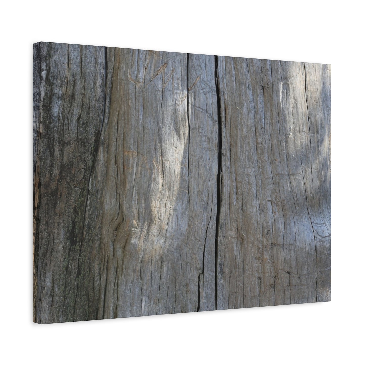 Split Log - Unique Frameless Canvas Wall Art