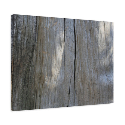 Split Log - Unique Frameless Canvas Wall Art