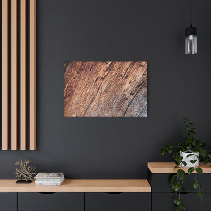 Natural Wood Grain - Unique Frameless Canvas Wall Art - Art By Earth
