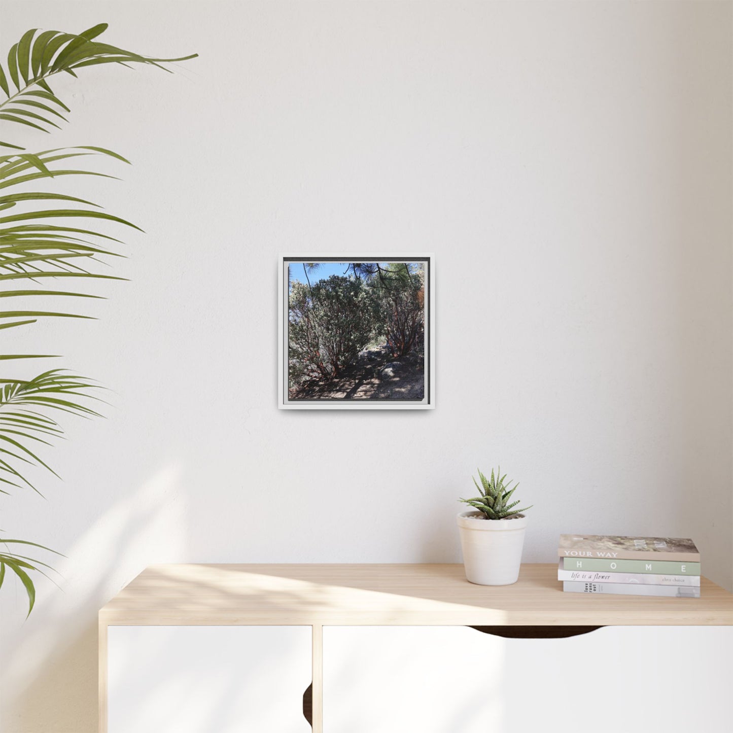 Desert Trail Through Blooming Manzanita - Unique Stretched Canvas Wall Art