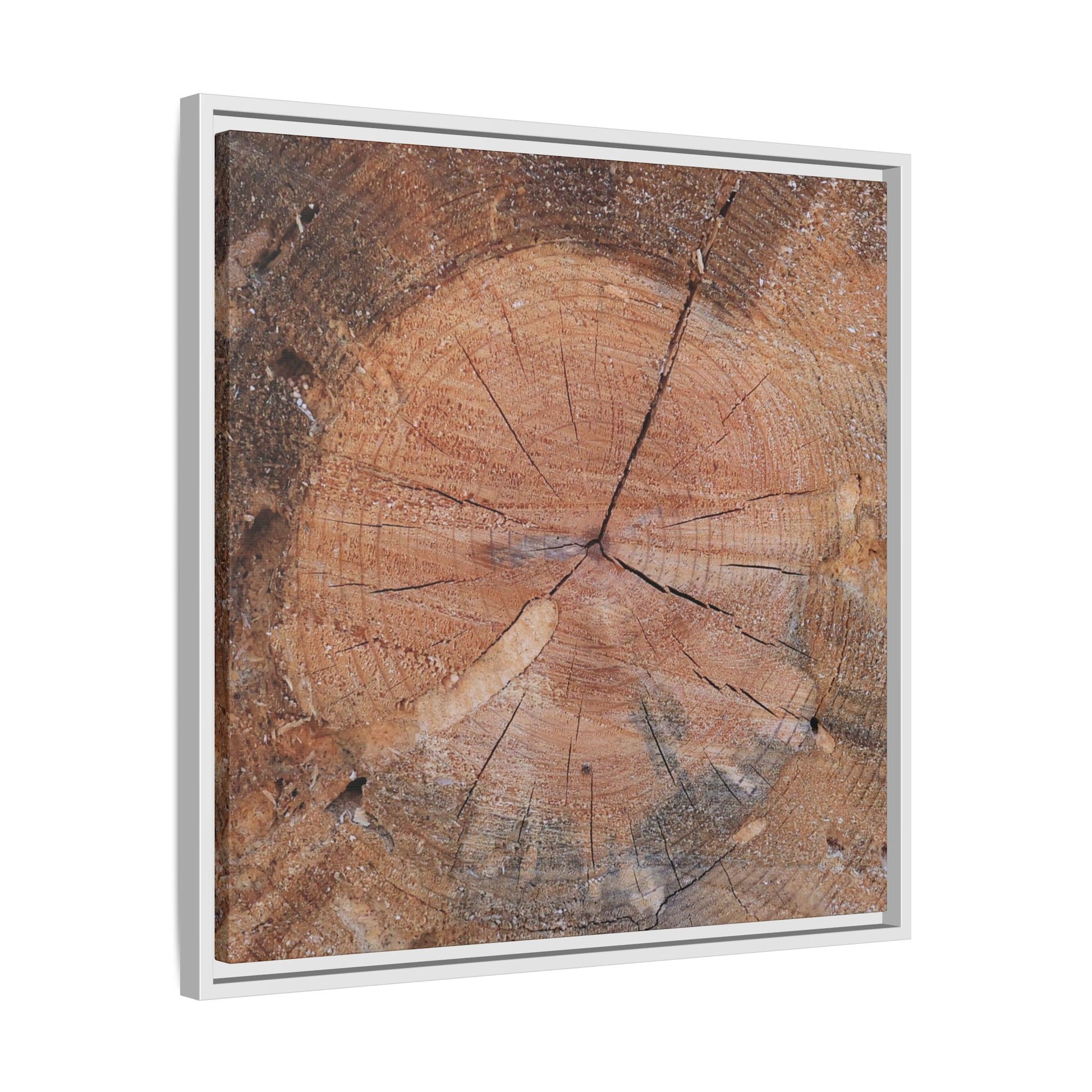 Concentric Memories - Unique Stretched Canvas Wall Art - Art By Earth