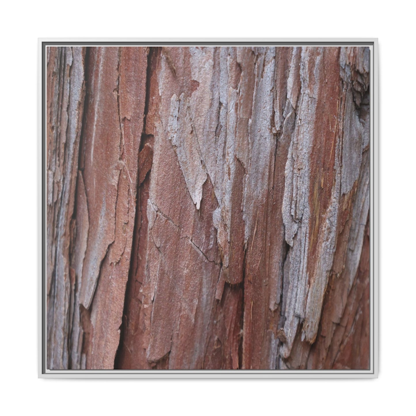 Time and Decay - Unique Stretched Canvas Wall Art - Art By Earth