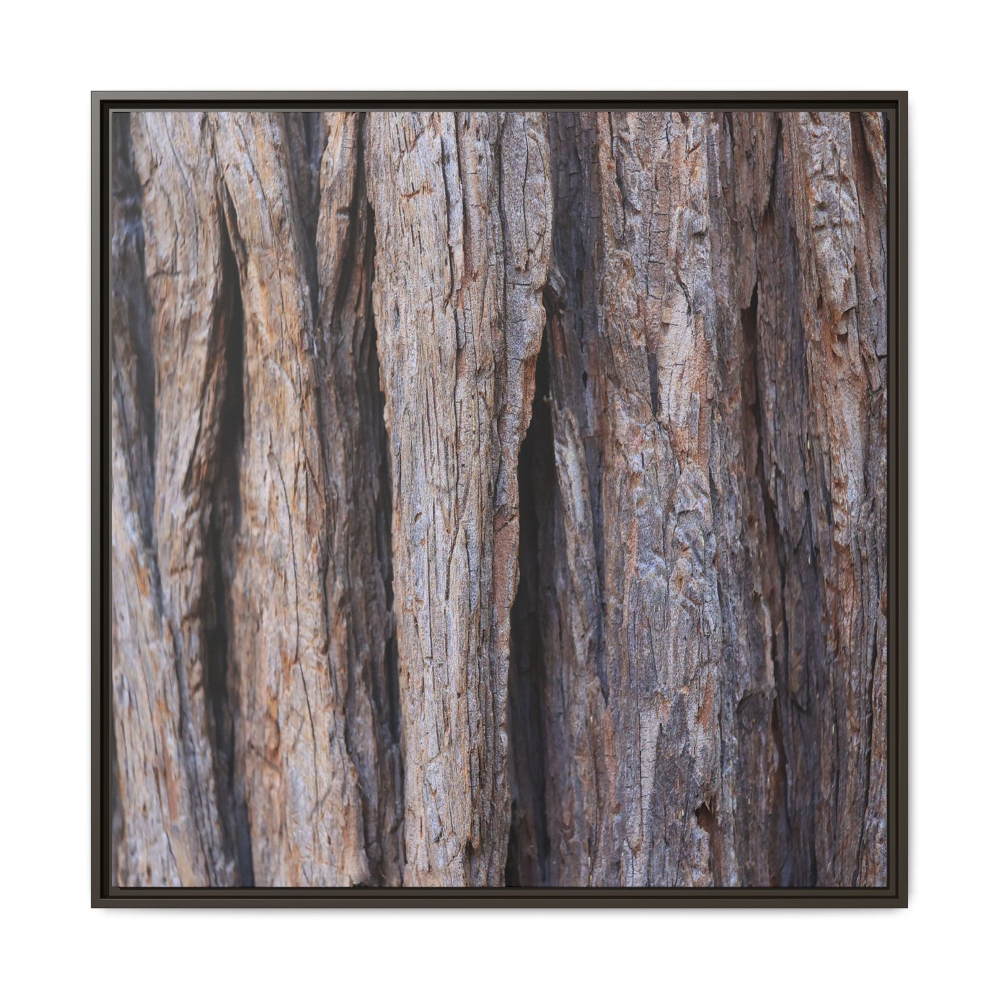 Ancient Grains - Unique Stretched Canvas Wall Art - Art By Earth