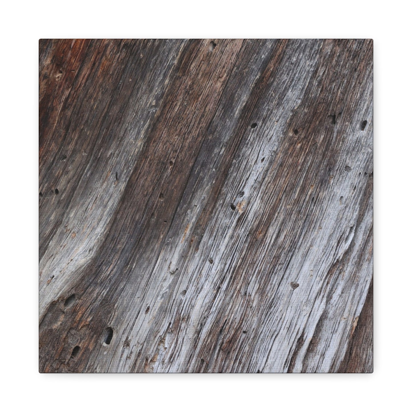 Aged Planks - Unique Frameless Canvas Wall Art - Art By Earth