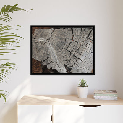 Time's Signature - Unique Stretched Canvas Wall Art - Art By Earth