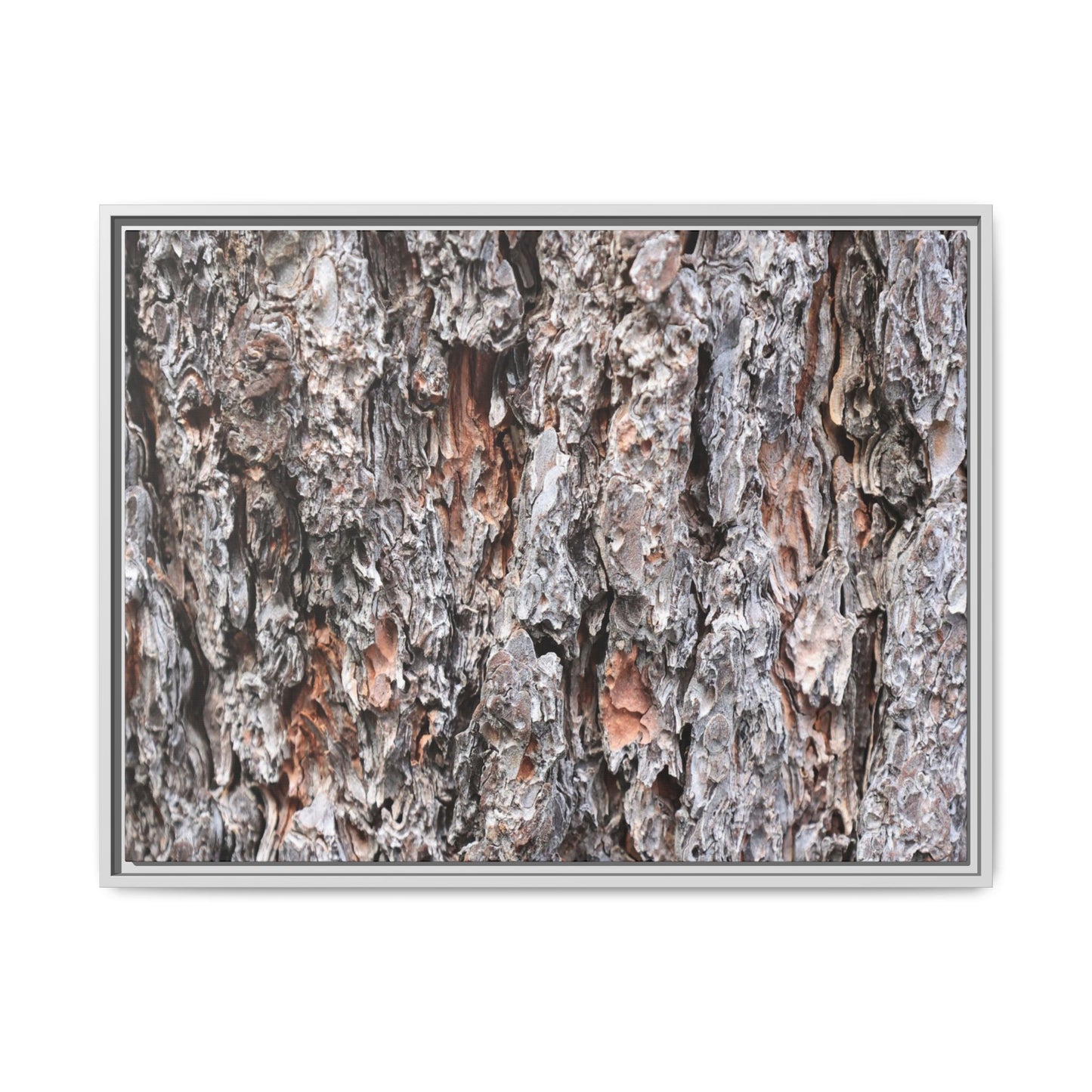 Rugged Cortex - Unique Stretched Canvas Wall Art - Art By Earth