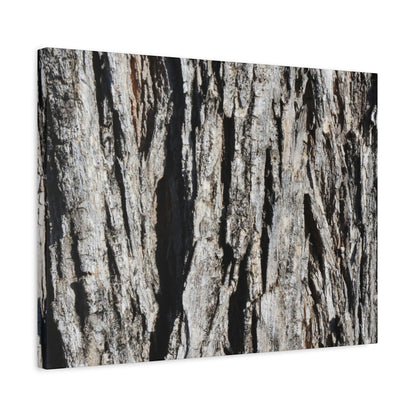Bark Textures in Monochrome - Unique Frameless Canvas Wall Art - Art By Earth
