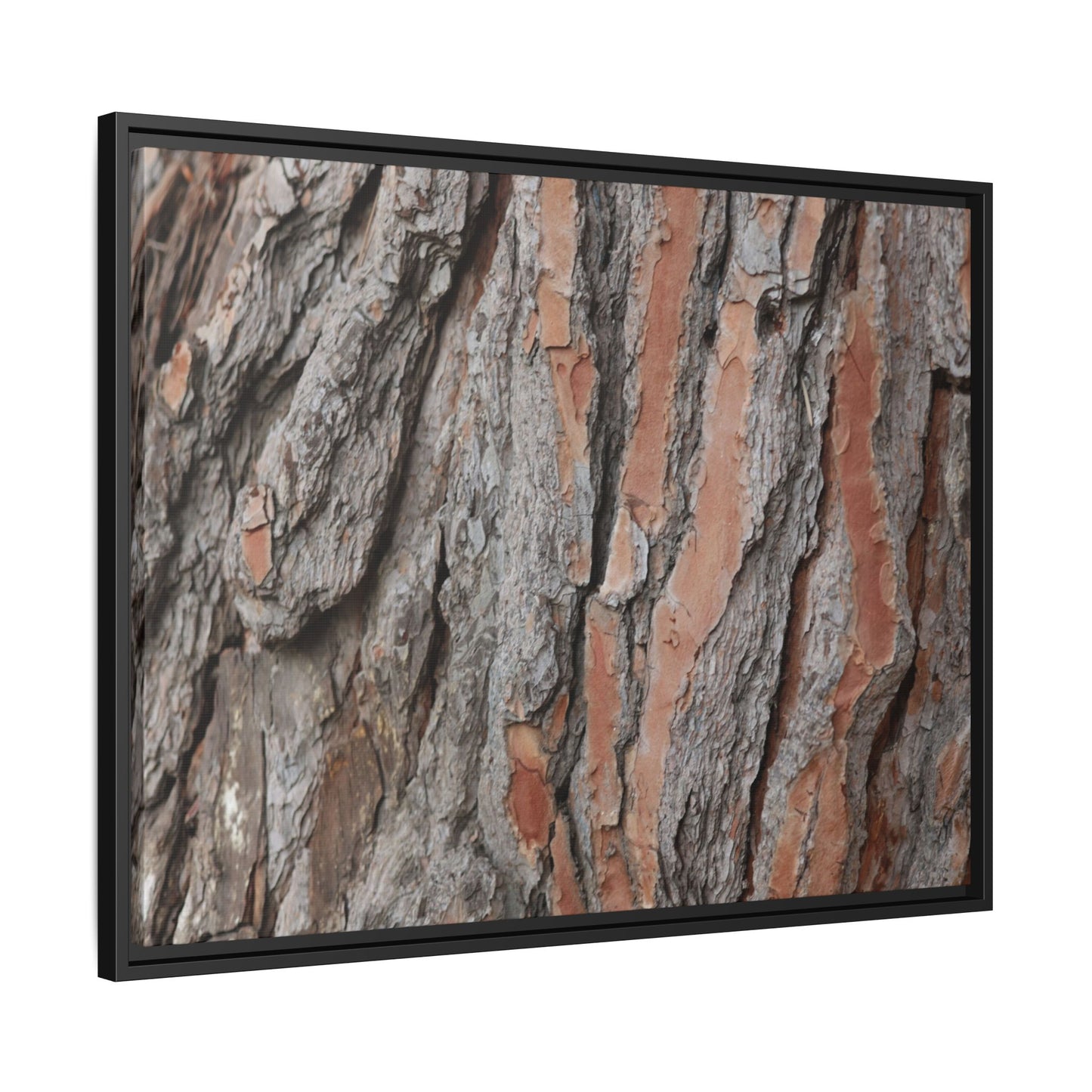 Woodland Layers - Unique Stretched Canvas Wall Art - Art By Earth