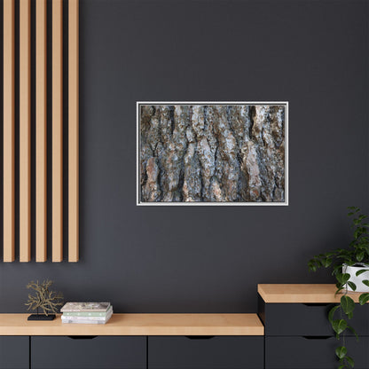 Bark Whispers - Unique Stretched Canvas Wall Art - Art By Earth