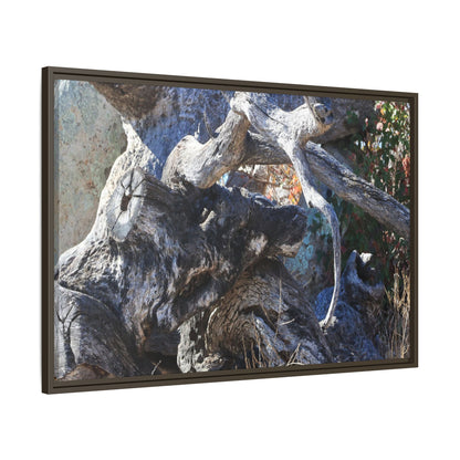 Resilient Roots - Unique Stretched Canvas Wall Art - Art By Earth