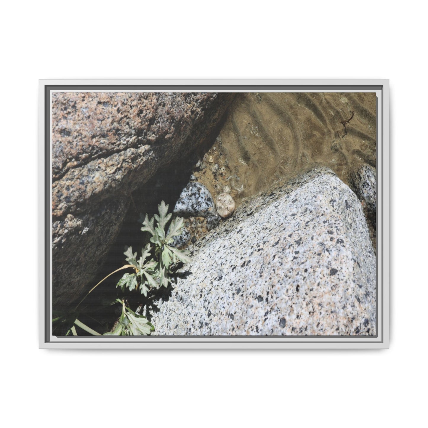 Resilience in Stone - Unique Stretched Canvas Wall Art - Art By Earth