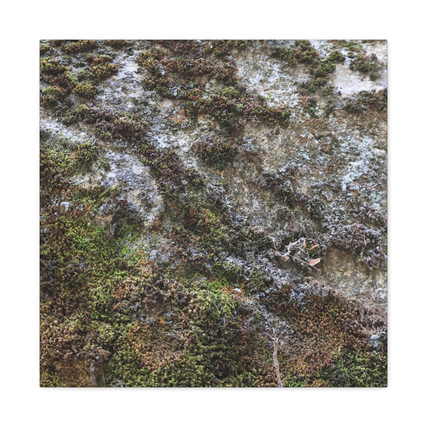 Moss Tapestry - Unique Frameless Canvas Wall Art - Art By Earth