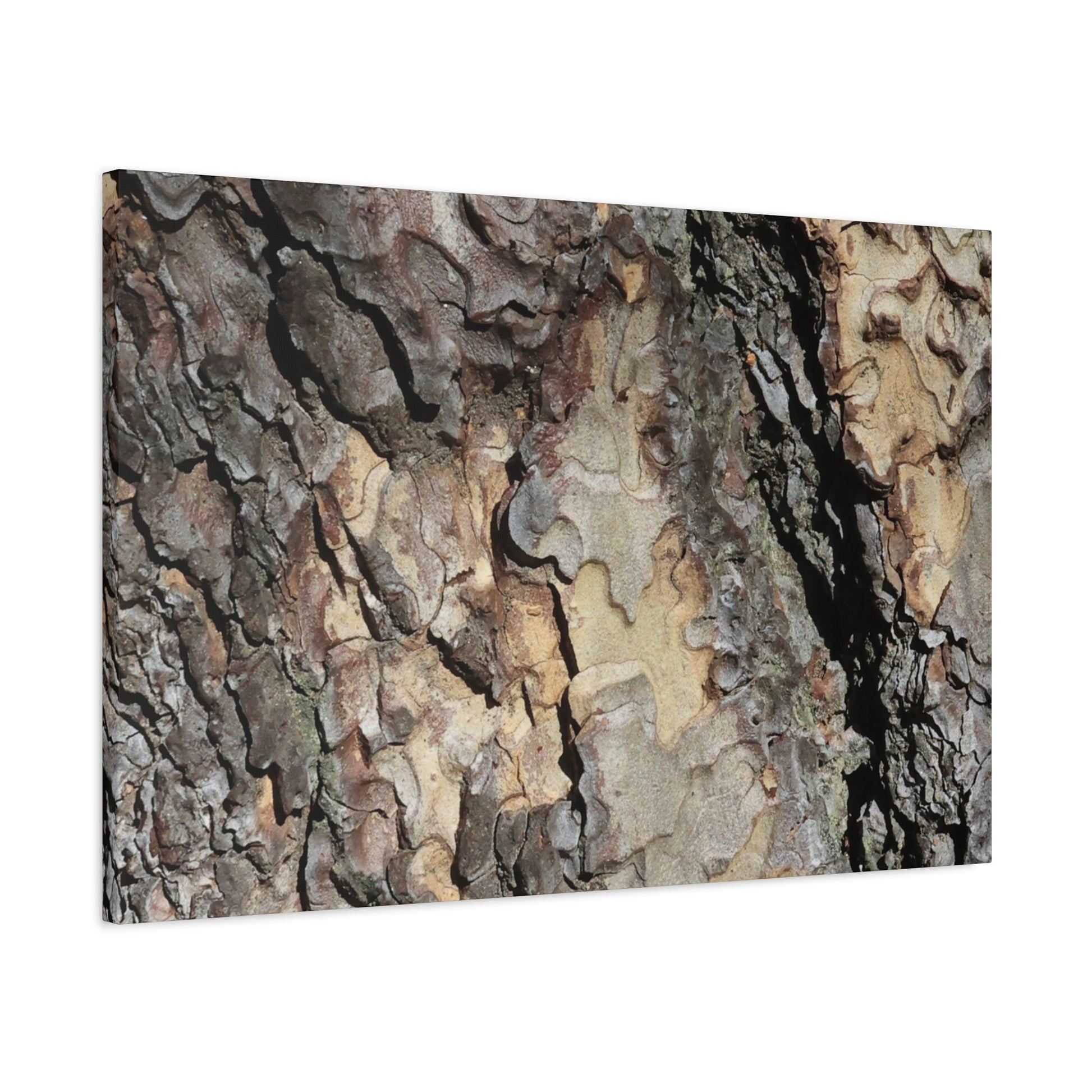 Tree Bark Symphony - Unique Frameless Canvas Wall Art - Art By Earth