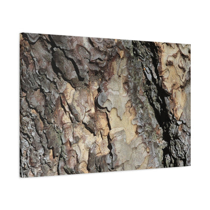 Tree Bark Symphony - Unique Frameless Canvas Wall Art - Art By Earth