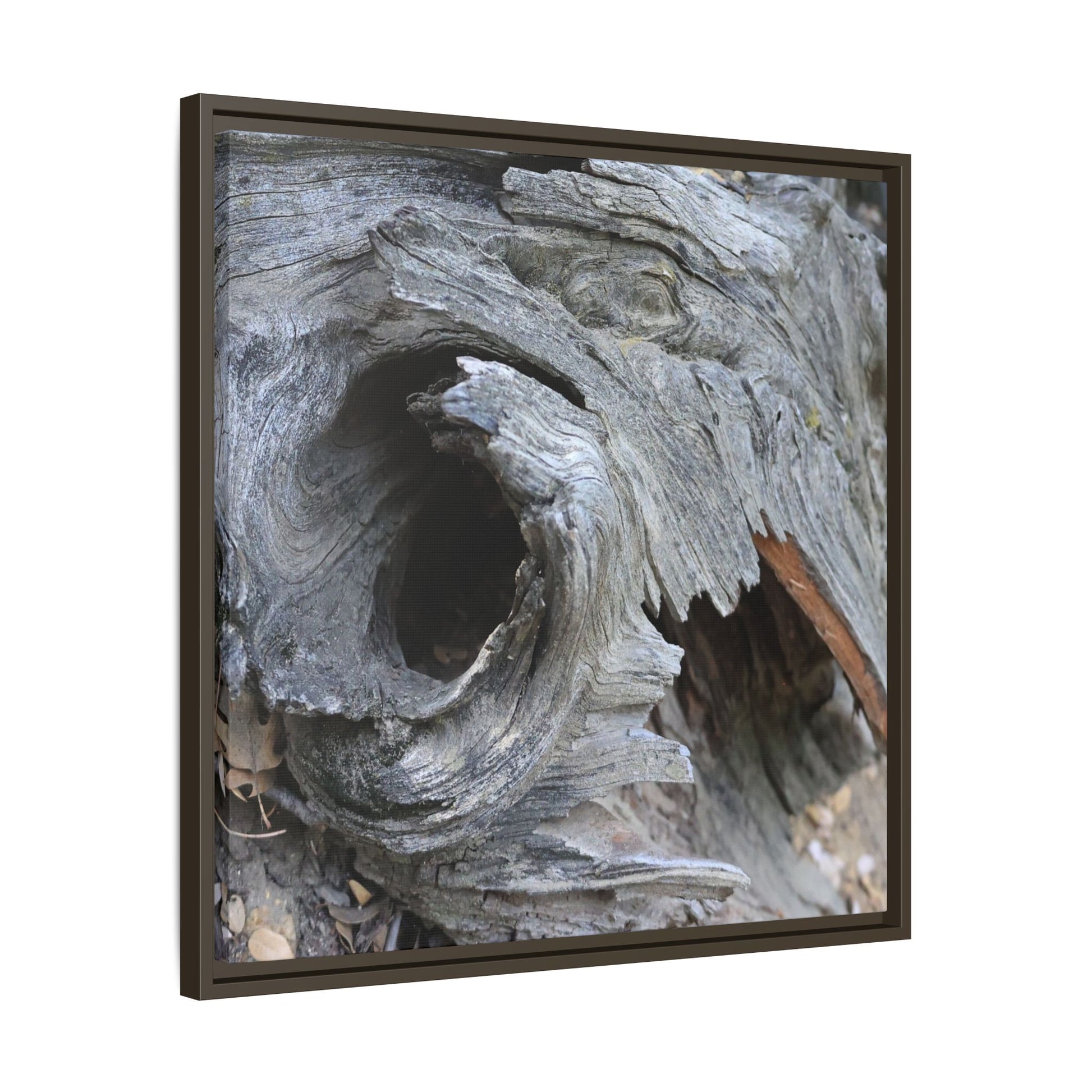 Bark's Labyrinth - Unique Stretched Canvas Wall Art - Art By Earth