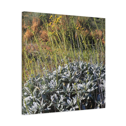 Desert Wildflowers in Bloom - Unique Frameless Canvas Wall Art - Art By Earth