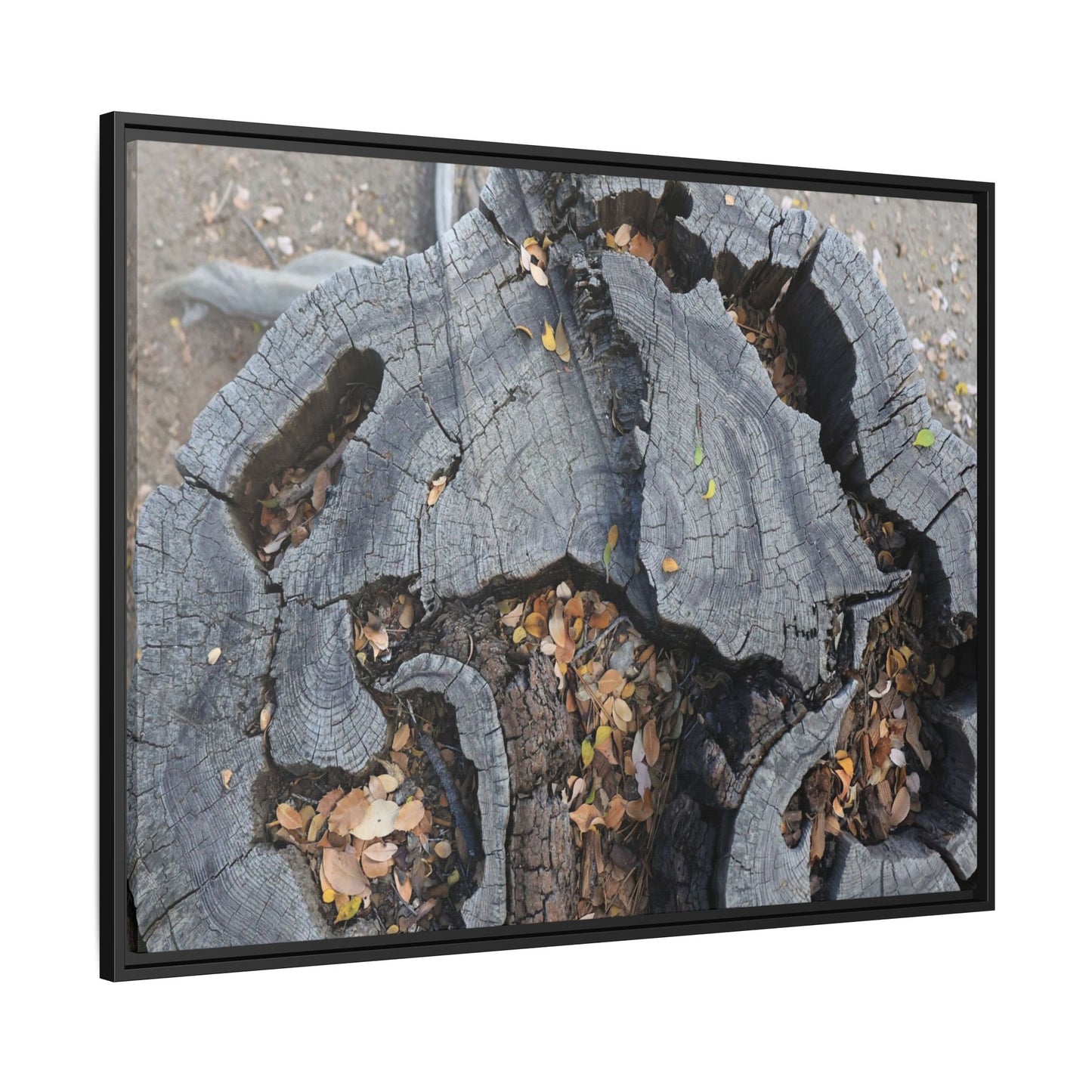 Time's Fractal Memory - Unique Stretched Canvas Wall Art - Art By Earth