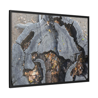 Time's Fractal Memory - Unique Stretched Canvas Wall Art - Art By Earth