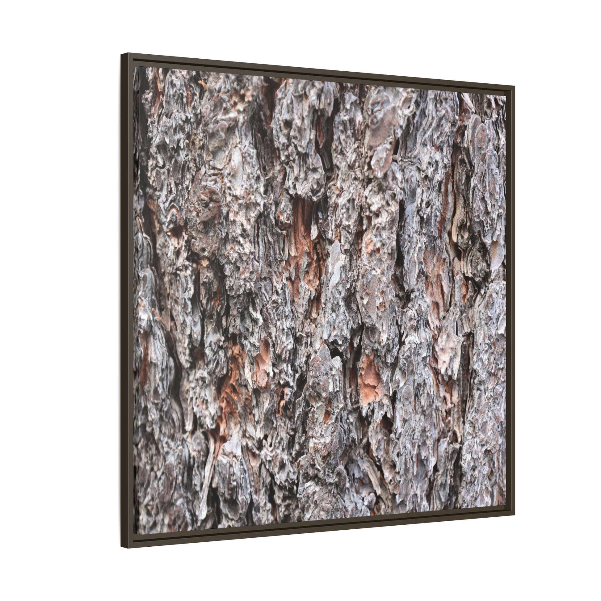 Rugged Cortex - Unique Stretched Canvas Wall Art - Art By Earth