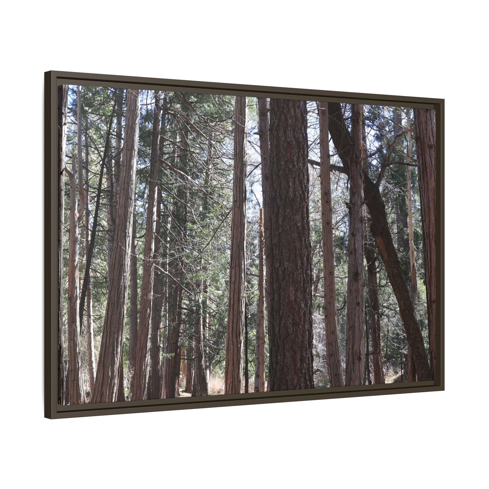Forest Cathedral - Unique Stretched Canvas Wall Art - Art By Earth