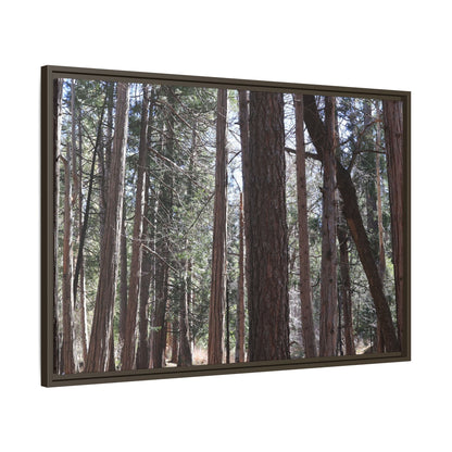 Forest Cathedral - Unique Stretched Canvas Wall Art - Art By Earth
