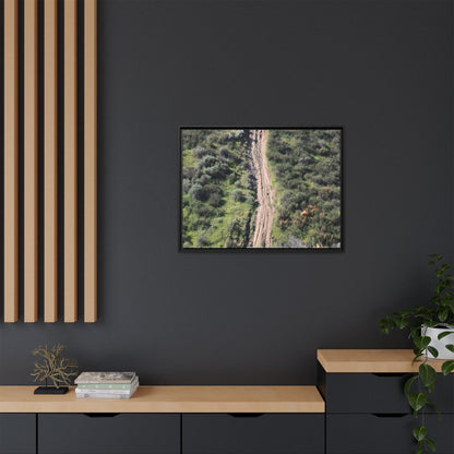 Desert Path Through Sage - Unique Stretched Canvas Wall Art - Art By Earth