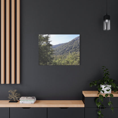 Mountain Vista Through Forest - Unique Frameless Canvas Wall Art
