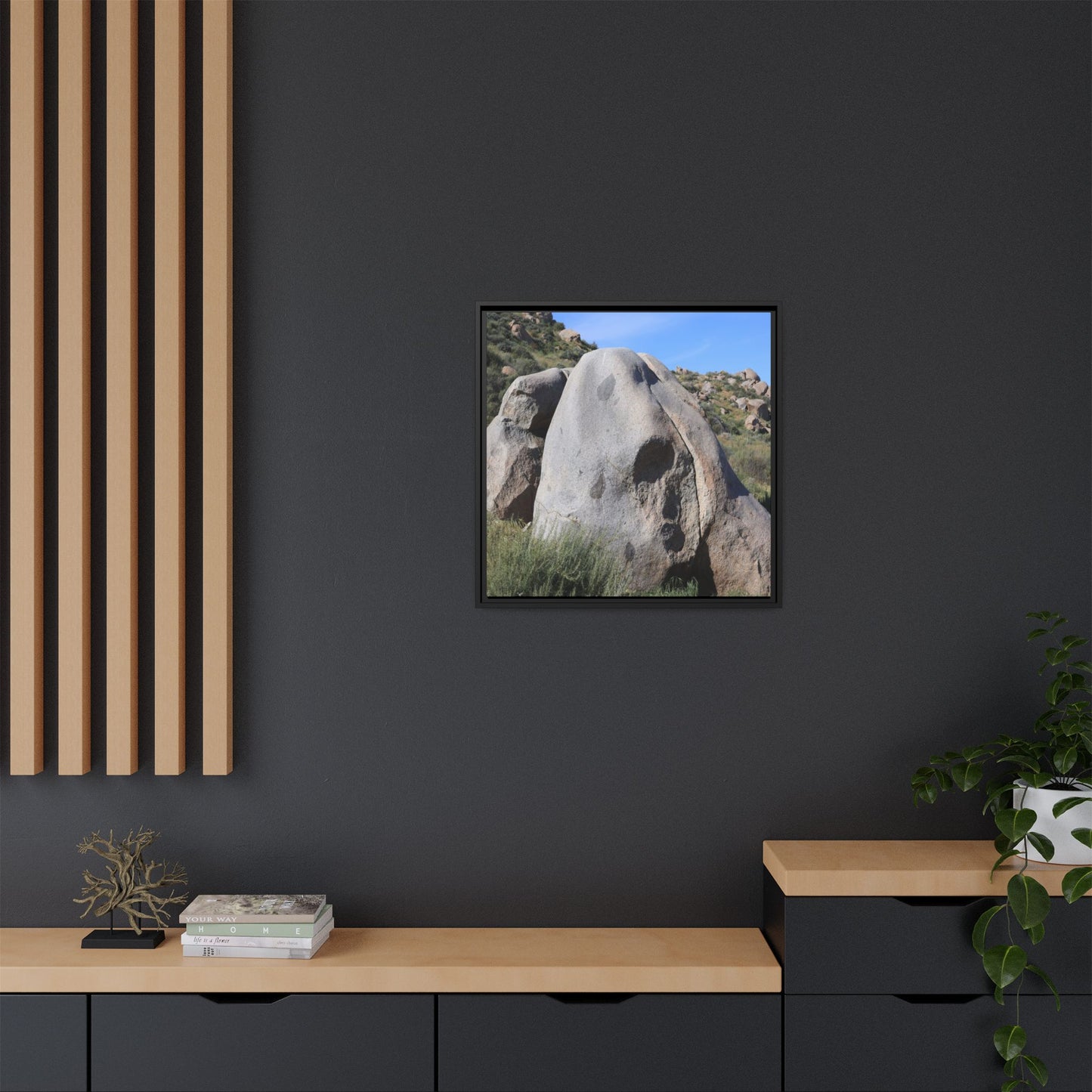 Skull Rock Desert - Unique Stretched Canvas Wall Art - Art By Earth