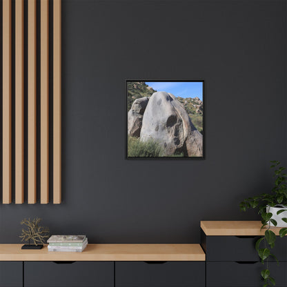 Skull Rock Desert - Unique Stretched Canvas Wall Art - Art By Earth