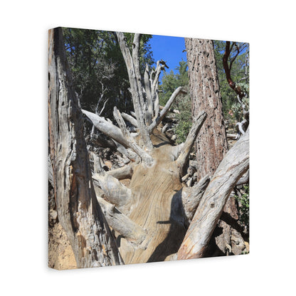Twisted Roots - Unique Frameless Canvas Wall Art