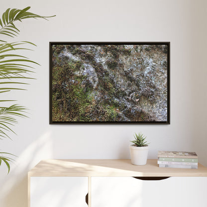 Mossy Whispers - Unique Stretched Canvas Wall Art - Art By Earth