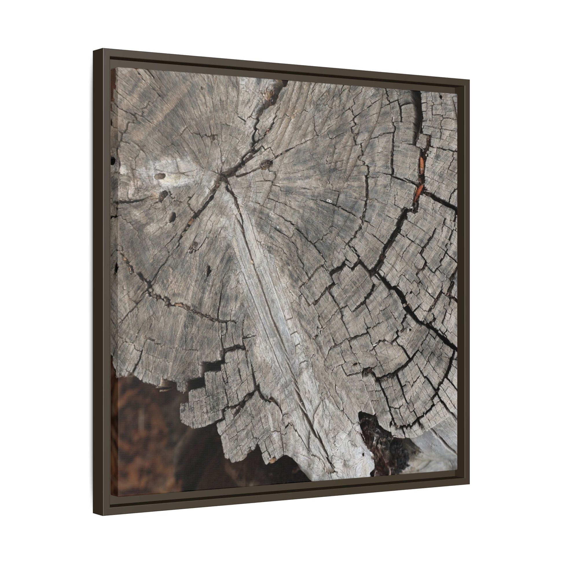 Time's Signature - Unique Stretched Canvas Wall Art - Art By Earth