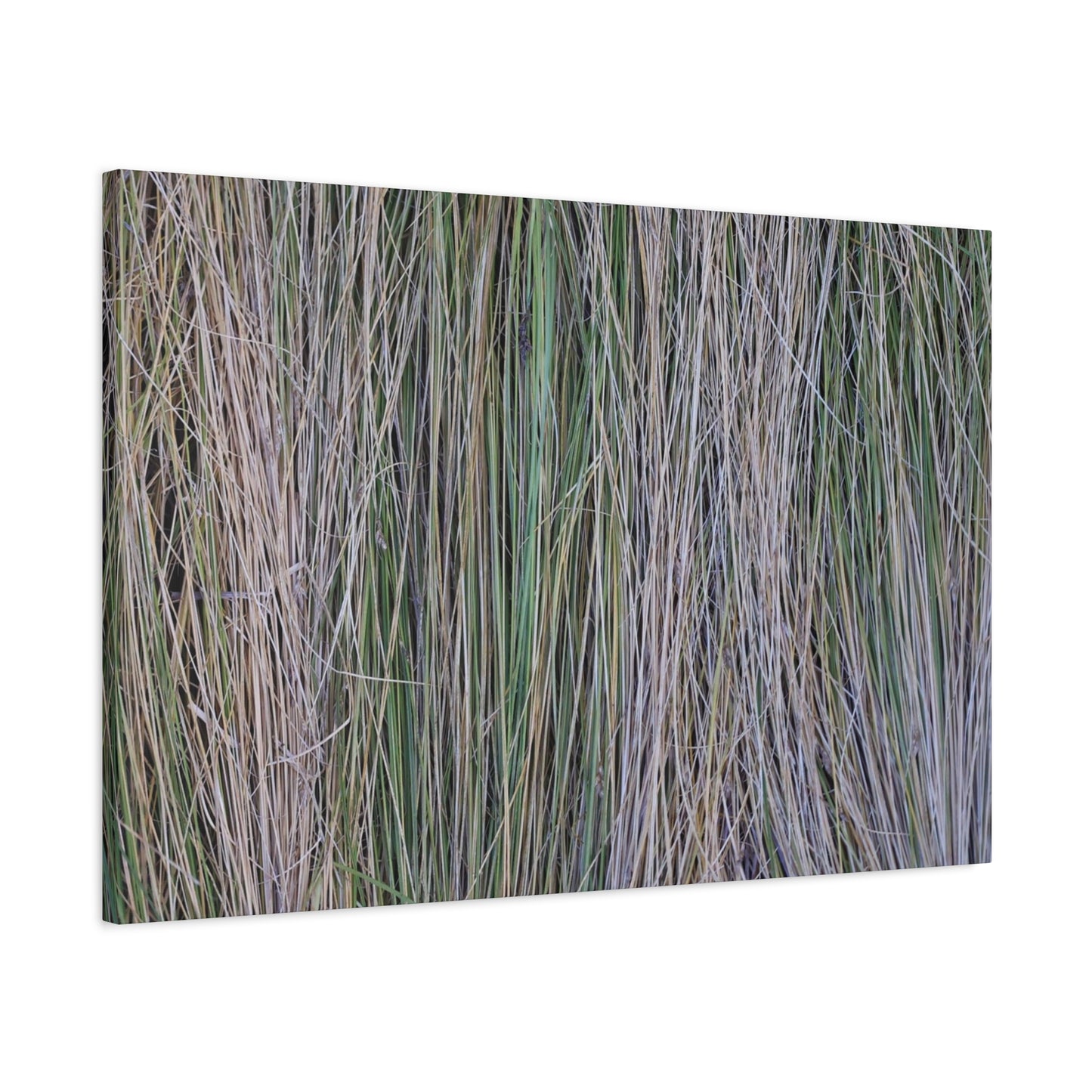 Whispers of Grass - Unique Frameless Canvas Wall Art - Art By Earth