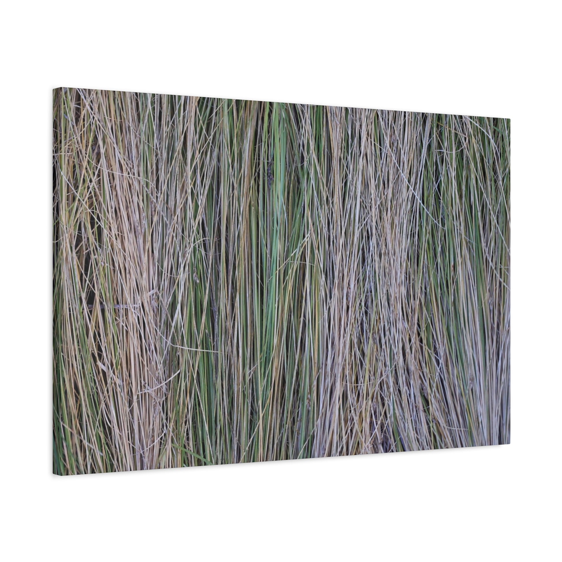 Whispers of Grass - Unique Frameless Canvas Wall Art - Art By Earth