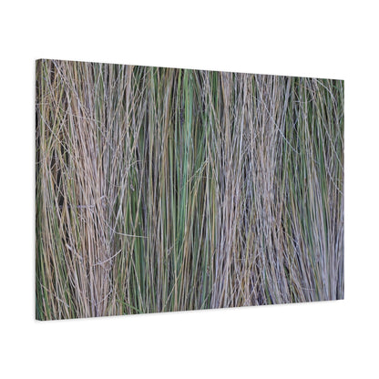 Whispers of Grass - Unique Frameless Canvas Wall Art - Art By Earth