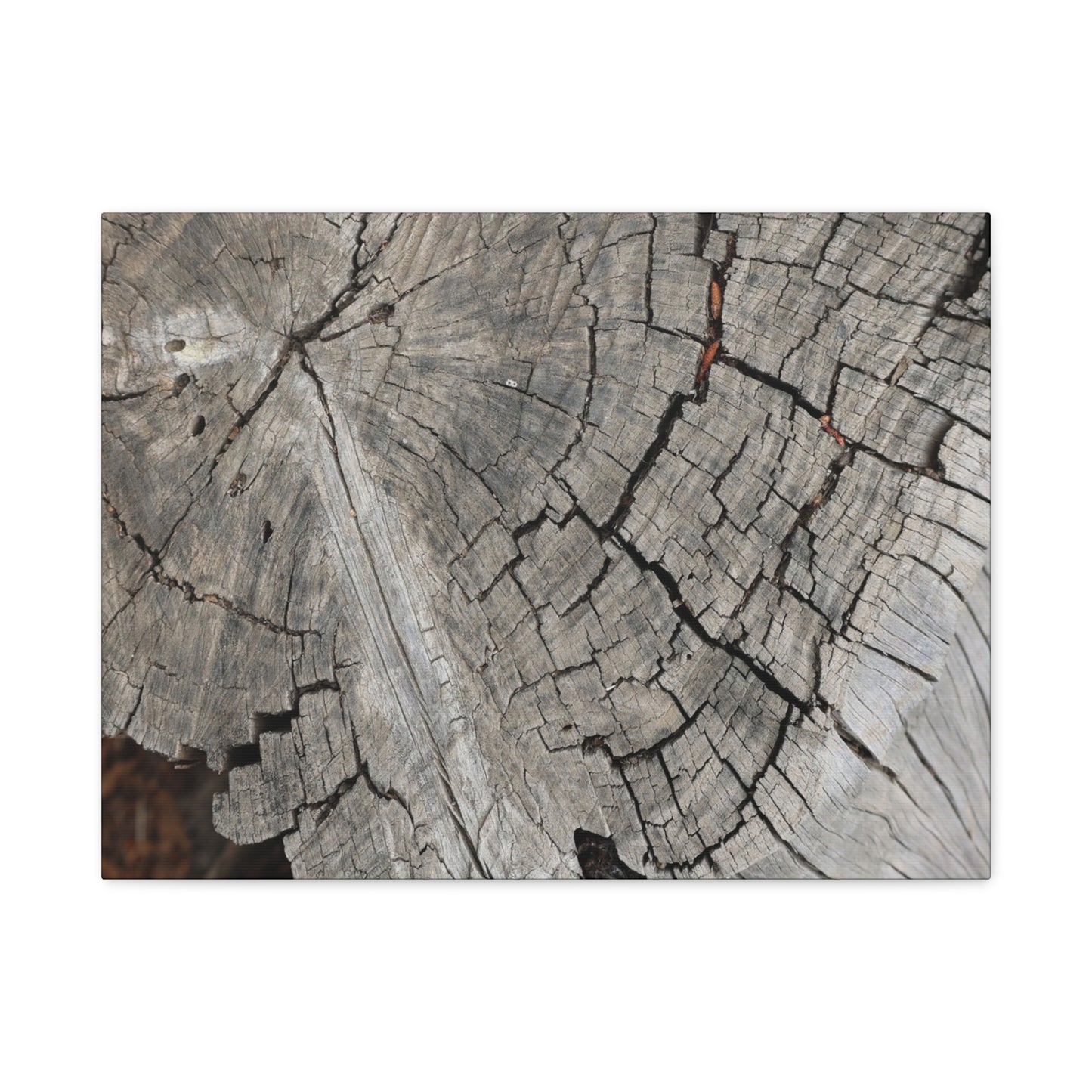 Cracked Memories - Unique Frameless Canvas Wall Art - Art By Earth