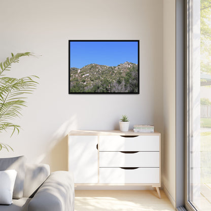 Sparse Vegetation - Unique Stretched Canvas Wall Art