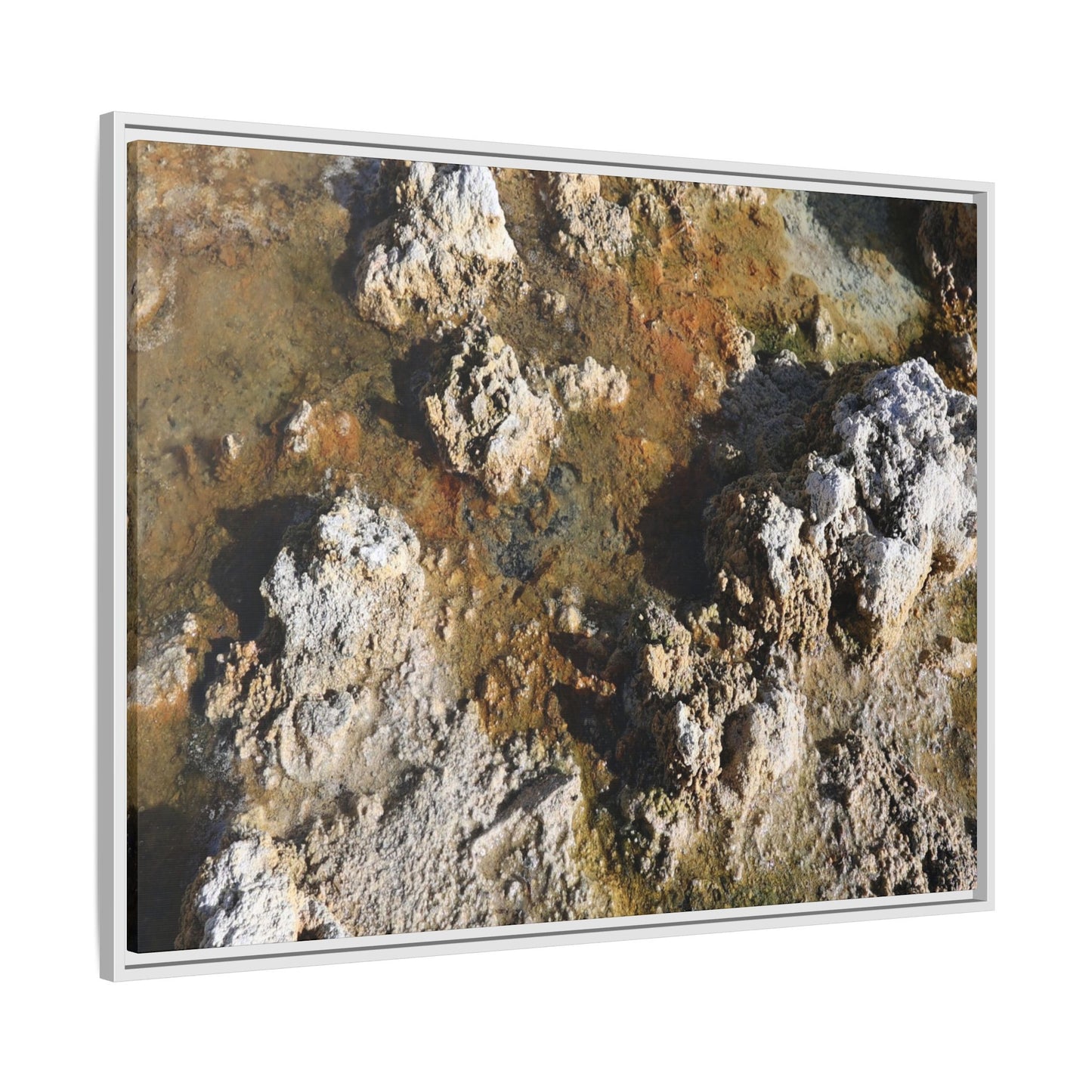 Textural Metamorphosis - Unique Stretched Canvas Wall Art