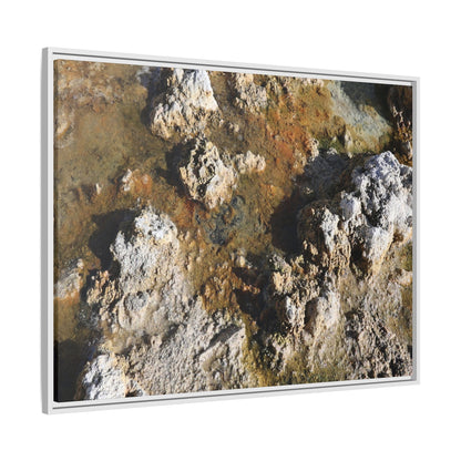 Textural Metamorphosis - Unique Stretched Canvas Wall Art